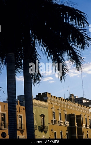 Mexiko Campeche Zocalo farbenfrohen Gebäuden und Palmen bei Sonnenuntergang Stockfoto