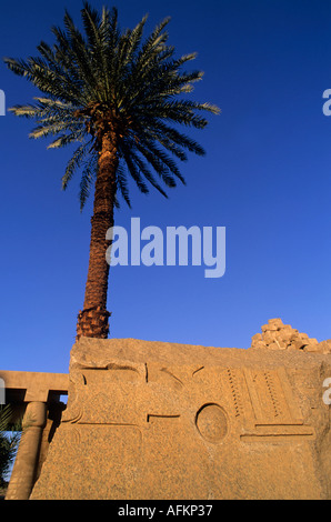 Flachrelief und eine Palme bei Sonnenuntergang im Karnak-Tempel-Komplex in Luxor, Ägypten. Stockfoto