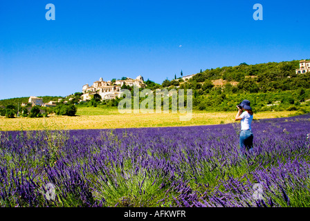 Frau, die das Fotografieren in einem Lavendelfeld in der Provence, Südfrankreich Stockfoto
