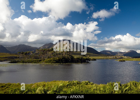 Derryclare Lough Connemara County Galway Irland Stockfoto