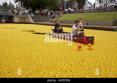 Großen britischen Duck Race 2007 Molesey Sperre auf der Themse in der Nähe von Hampton Court ab. Stockfoto