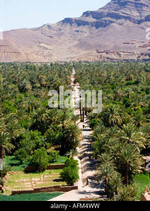 Agdz, Draa-Tal, Ouarzazate, Marokko, Nordafrika Stockfoto