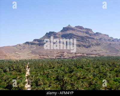 Agdz, Draa-Tal, Ouarzazate, Marokko, Nordafrika Stockfoto