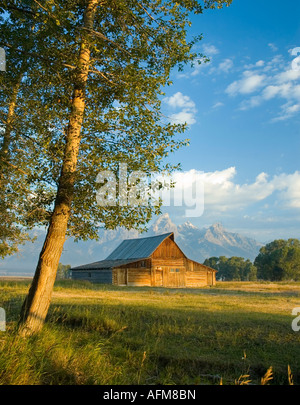 Historische Scheune auf Mornon Zeile im Grand-Teton-Nationalpark, Wyoming, USA Stockfoto