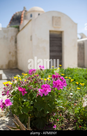 Marine-Friedhof in Bonifacio Korsika Frankreich Stockfoto