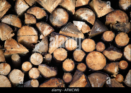 Protokoll-Stapel, Morzine, Alpen, Frankreich Stockfoto