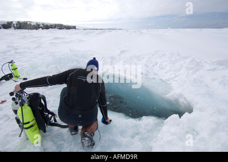 Österreichischen Tauchgang Tourist, die Peter bereitet sich auf ein Tauchgang in eine arktische crack in das Meereis Wasser wird minus zwei Grad Celsius sein. Stockfoto