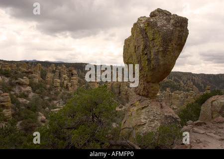 Echo Valley Chirachua in Arizona Stockfoto