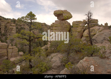 Echo Valley Chirachua in Arizona Stockfoto