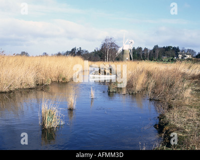 Reed Cutter Eric Reed auf den Norfolk Broads Stockfoto