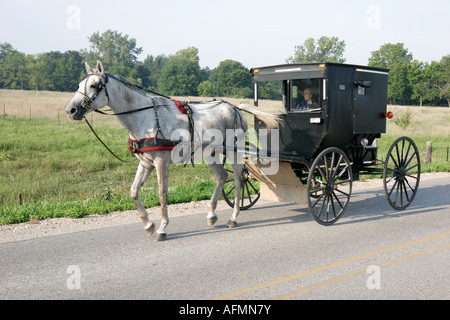 Indiana LaGrange County, Howe, von Pferden gezogener Amish-Buggy, Transport, IN070829005 Stockfoto