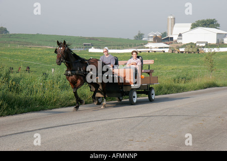 Indiana LaGrange County, Howe, Pferdegezogener Amish-Wagen, Transport, IN070829010 Stockfoto