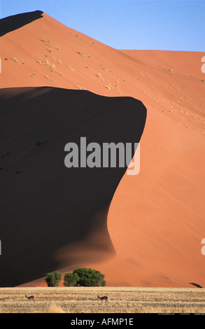 Namib-Wüste-Sossusvlei Namibia Afrika Stockfoto