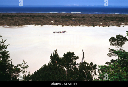 1341 Oregon Dunes National Recreation Area übersehen Oregon USA Sand Meer Küste Pazifik Strand Gruppe wandern Stockfoto