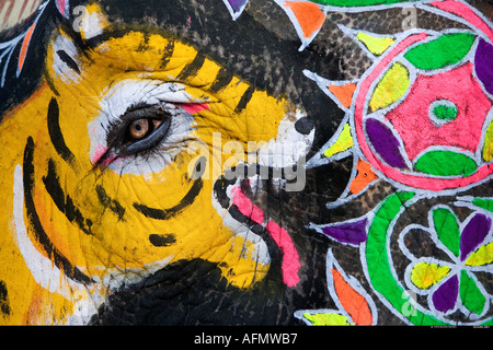 Malte Elefant mit Auge des Elefanten, Tiger s Auge Elephant Festival Jaipur Indien darstellt Stockfoto