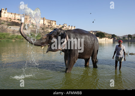 Elefant mit Mahout Baden im Fluss unterhalb der Amber Fort Jaipur Indien Stockfoto