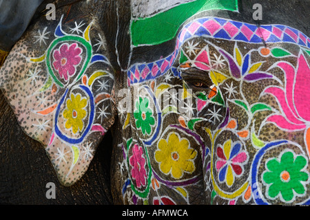 Elefanten gemalt in Vorbereitung auf den Elephant Festival Jaipur Indien Stockfoto