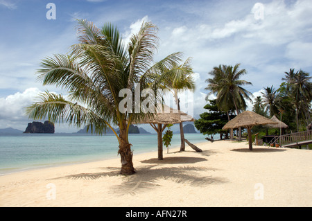 Sonnenschirme und Palmen auf Ko Ngai (Ko Hai) Insel, Thailand, Südostasien Stockfoto