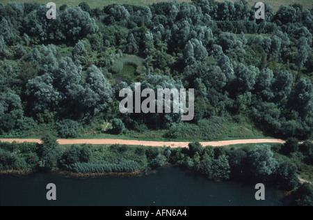 Luftaufnahme des geraden Weg durch Felder und Bäume Stockfoto