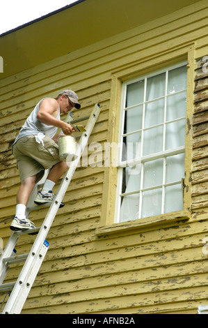 Maler, Klettern Leitern um ein altes Gebäude malen Stockfoto