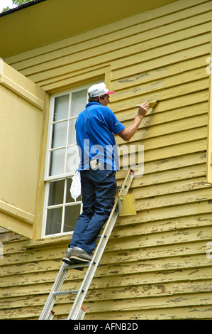 Maler, Klettern Leitern um ein altes Gebäude malen Stockfoto