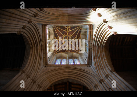 Die Pfarrei St. Laurentius Kirche, Ludlow, Shropshire, England, UK.    Nach oben zum Turm Stockfoto