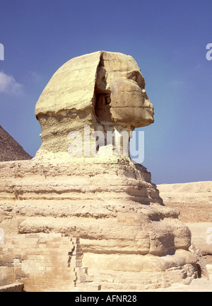 Gizeh bei Kairo die große Sphinx im Profil Stockfoto