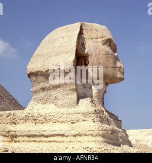 Sonniger blauer Himmel, um nach Gizeh in der Nähe von Kairo zu reisen, um die große Sphinx in Ägypten zu sehen Stockfoto