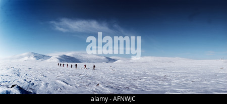 Langdistanz Skifahren zwischen Fjellnäs in Schweden und dem Gipfel Storvigelen in Norwegen Stockfoto