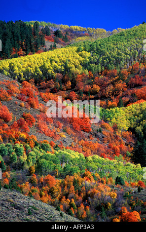 USA Idaho Grand Targhee National Forest A ribbon of fall colors and blue sky Teton Scenic Byway Stockfoto