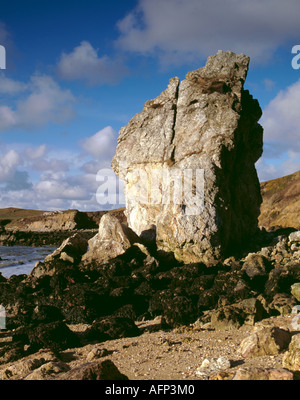 Steinsäule am Meeresufer; Porth Padrig, in der Nähe von Cemaes auf Anglesey Erbe Nordküste, Anglesey, North Wales, UK. Stockfoto