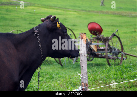 Beskiden, polnischen Bergen Stockfoto