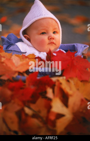 Baby im Korb inmitten gefallenen Herbst Blätter Stockfoto