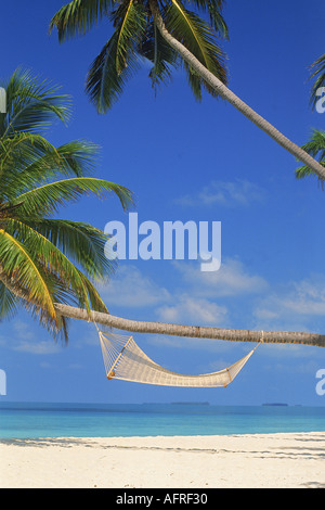 Hängematte und Palm-Baum hängen über Sandstrand auf den Malediven Stockfoto