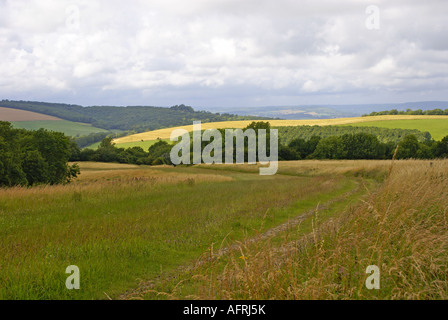 Bignor Hill South Downs West Sussex Stockfoto