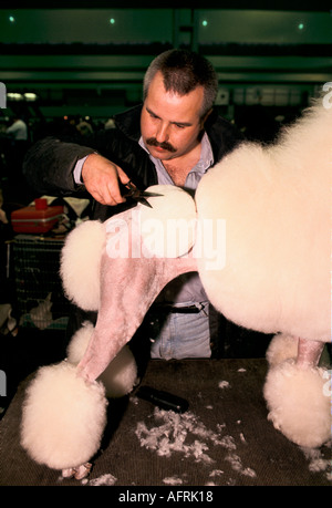 Die crufts Dog Show 1990 s National Exhibition Centre Birmingham UK. Standard weißer Pudel getrimmt wird fertig, wettbewerbsfähige Hobby angezeigt werden Stockfoto