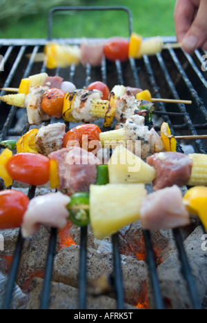 Fleisch und Gemüse auf Spieße auf dem grill Stockfoto