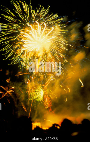 Feuerwerk Party der Queen Elizabeth II Silver Jubilee Hyde Park London England 1977 1970s UK HOMER SYKES zu feiern. Stockfoto