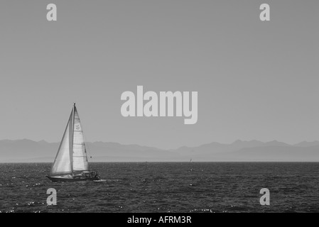 Einsamer Segelboot auf dem Meer Stockfoto