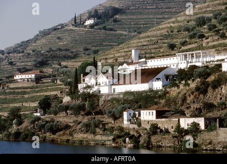 Quinta de la Rosa Bergquist Familiengut Hafenproduktion Oberlauf des Douro-Tals. Der Fluss Doura in der Nähe von Pinhao. 1989 1980er Jahre HOMER SYKES Stockfoto