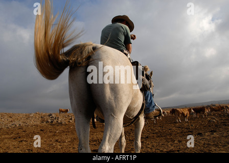 Ein israelischer Viehzüchter, der eine Pistole auf einem Pferd in den Golanhöhen im Norden Israels trägt Stockfoto
