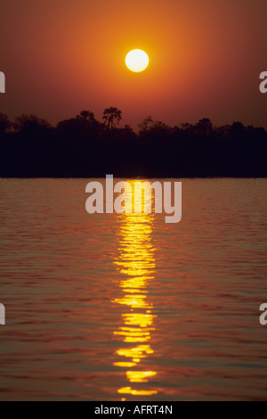Afrika, Sonnenuntergang über Sambesi, Mana Pools, Simbabwe Stockfoto