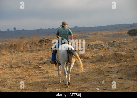 Eine israelische Rinder Herder montiert auf einem Pferd im nördlichen Israel Golanhöhen Stockfoto