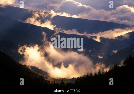 Dunst und Nebel, Great Smoky Mountains National Park USA Stockfoto