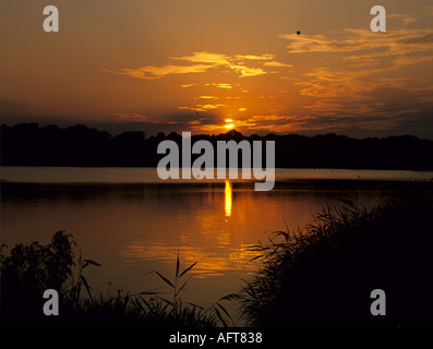 FRENSHAM SURREY UK Dezember geht die Sonne über den großen Teich mit Schilf Silhouette im Vordergrund Stockfoto