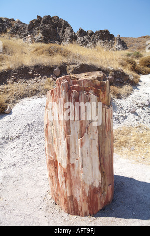 Landschaft in der Insel Lesbos Gebiet Petrified Forest Griechenland Stockfoto