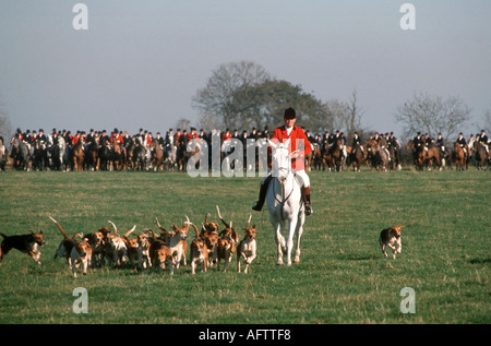 Belvoir Hunt The Field zu Beginn der Tage Sport. HOMER SYKES Stockfoto