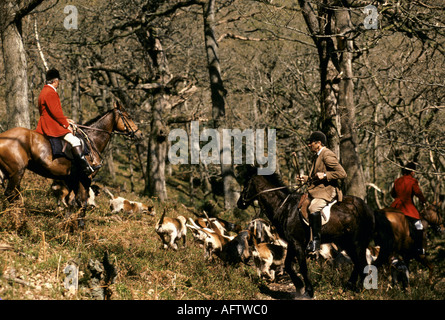 Quantock Staghounds 1990 s Uk. Quantock Hills Somerset. Master in Jagd rosa rot Mantel mit Pack der Jagdhunde. 1997 HOMER SYKES Stockfoto