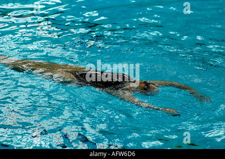 BRITISCHE SYNCHRONSCHWIMMEN CHAMPIONSHIPS WALSALL Stockfoto BRITISCHE SYNCHRONSCHWIMMEN CHAMPIONSHIPS WALSALL Stockfoto