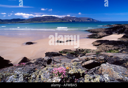 Sparsamkeit und Felsen neben Strand, Rosbeg Tramore, County Donegal, Irland Stockfoto
